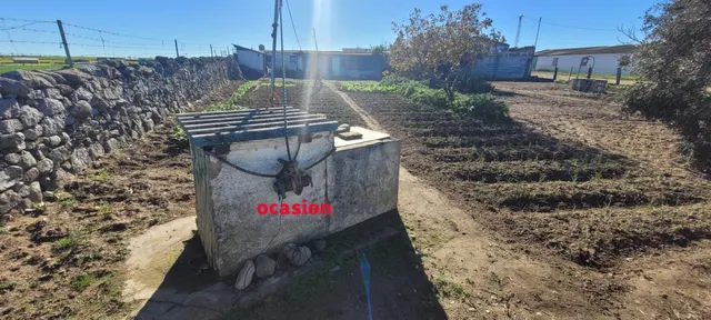 SOLAR RÚSTICO EN VENTA — 6