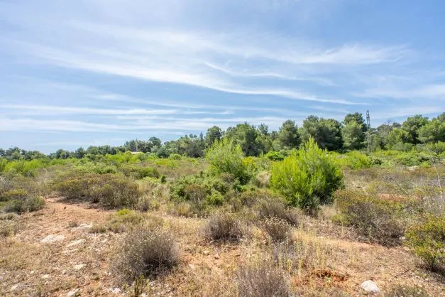 Parcela 35m² en venta - Montañar I — 5