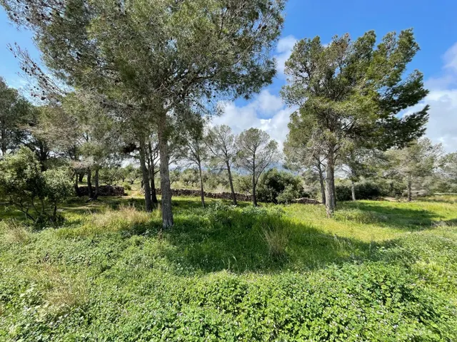 SUELO URBANIZABLE EN PLANA ESPANYOL. MONT-ROIG DEL CAMP (TAR - foto 2