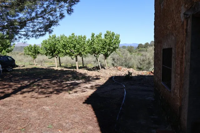 MASIA EN VILAFAMES CON TERRENO — 27