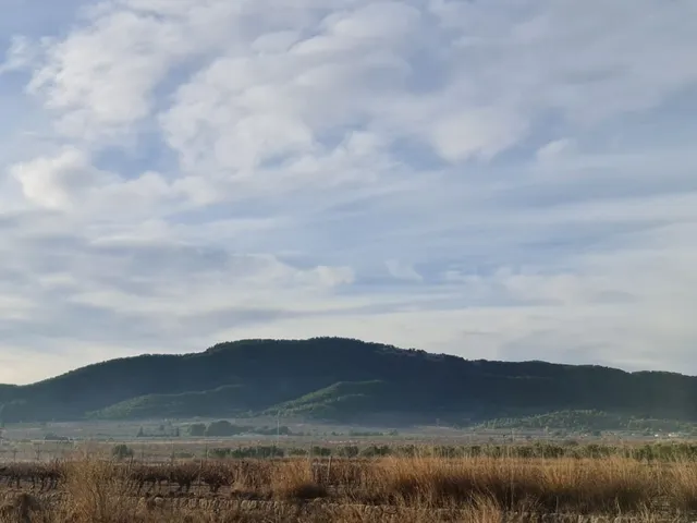 Terreno en venta en Monóvar Comunidad Valenciana — 10