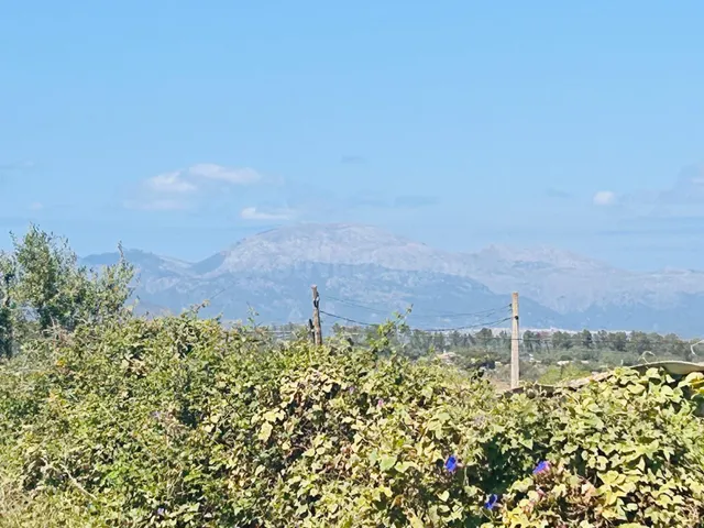MAGNÍFICO SOLAR URBANO EN SINEU - foto 2
