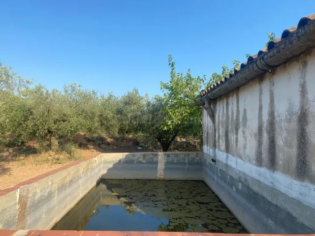 Fantástica finca con casa en la Miliana — 23