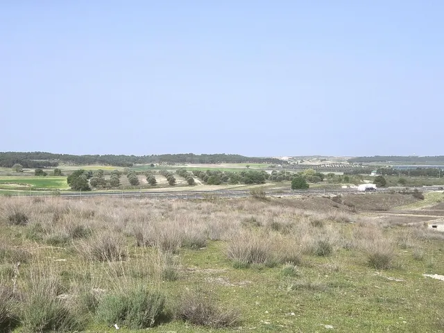 PARCELA EN "LOS BLANCARES" - foto 3