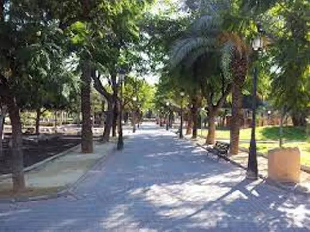 Local Comercial en Molina de Segura, Zona Centro — 14