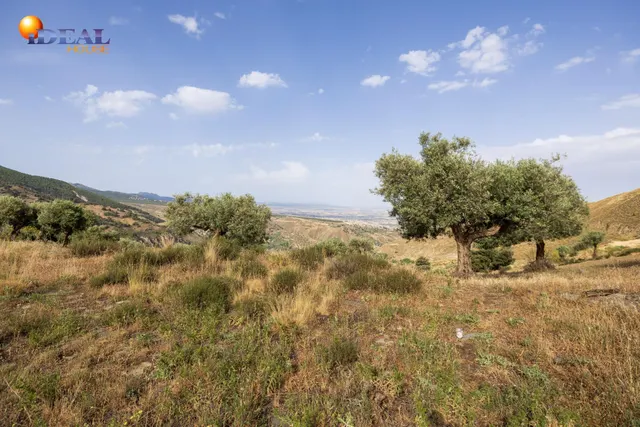 En Venta Maravilloso Paraje Natural, a medio camino entre Granada y Sierra Nevada, a veinte minutos en coche, desde cada una de ellas. — 15