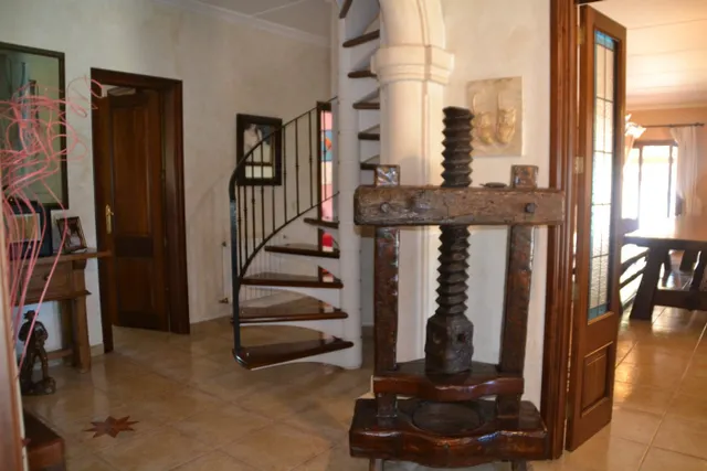 Magnifica finca — 15