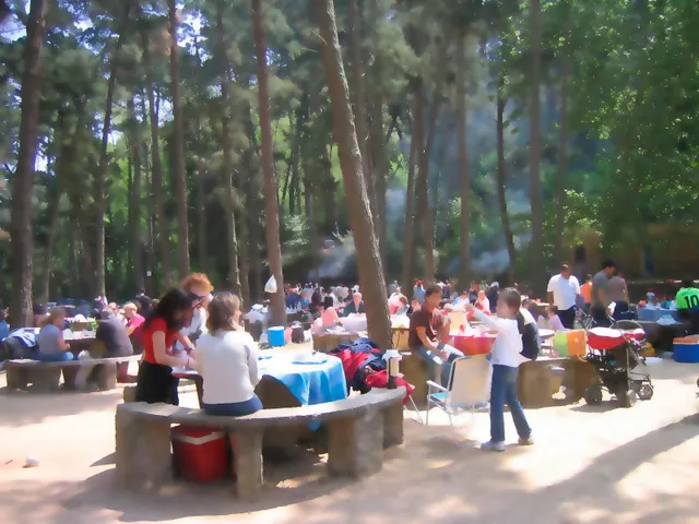 Finca rústica de 9 hectáreas en Arenys de Munt — 20