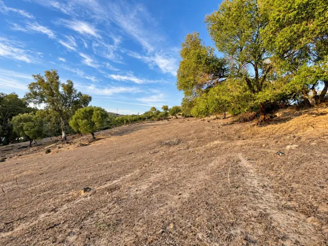 Finca rústica de 18.444 m2 con pozo y construcción catastrada en Alcalá de los Gazule — 26