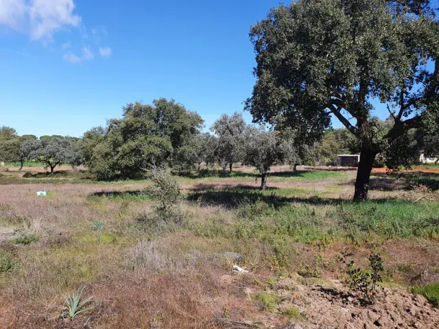 PARCELA EN EL MANANTIO