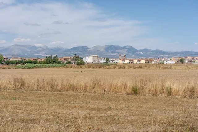 PARCELA EN SANTA FE (GRANADA). 80.000 € (801 m2). — 19