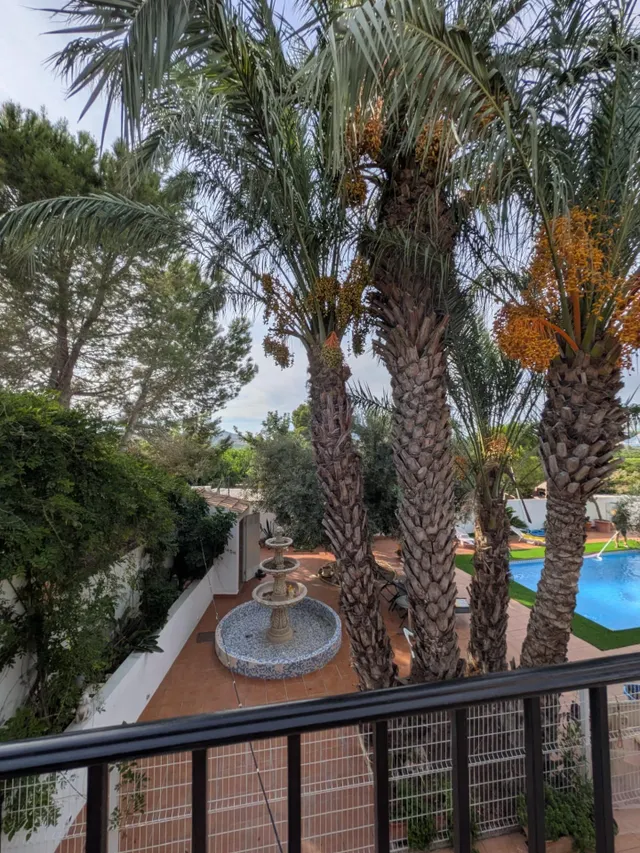 ESPECTACULAR FINCA CON CASA, PISCINA PRIVADA Y PLANTACIÓN DE LIMONEROS EN JACARILLA — 17