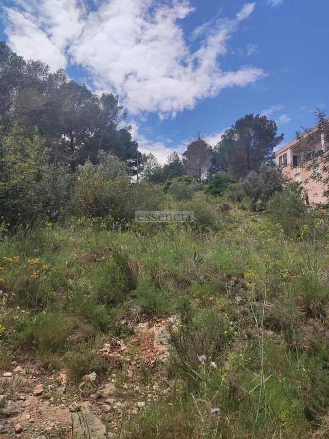 Terreno Urbano Urb. La Serreta — 8
