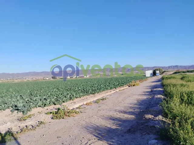 Terreno de riego consolidado — 6