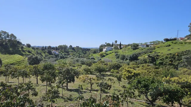 PARCELA RÚSTICA CON CASA DE APEROS  Y ÁRBOLES FRUTALES EN LA ALQUERÍA — 5