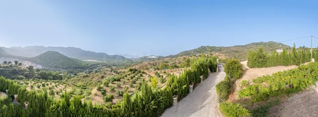 FINCA CON CASA EN VENTA OJEN — 28