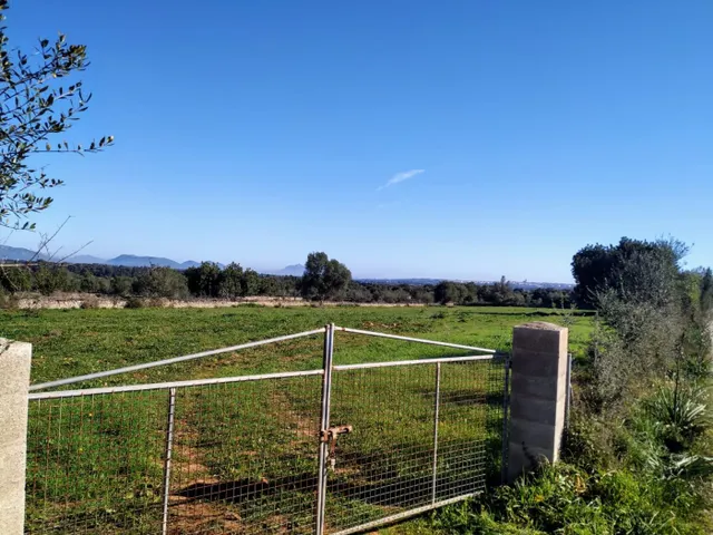 FINCA RÚSTICA PERFECTA PARA CONSTRUIR — 6