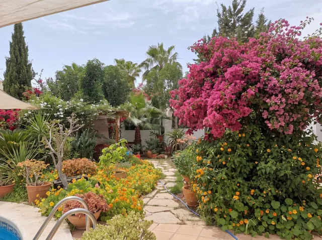 Chalet independiente en Santa Eulalia del Río - foto 3