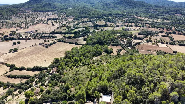 Terreno rústico de 10.000m2 en son quetlles, Felanitx — 14