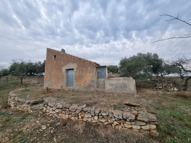 Económica Finca, con antigua caseta de campo de 25 M2 en El 
