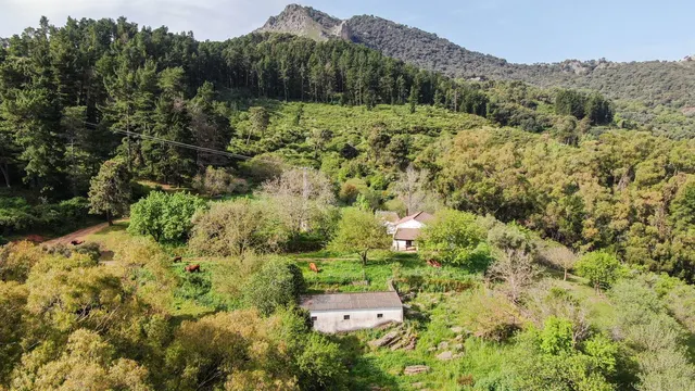 Finca rústica 3 habitaciones 467m² en venta - South of spain