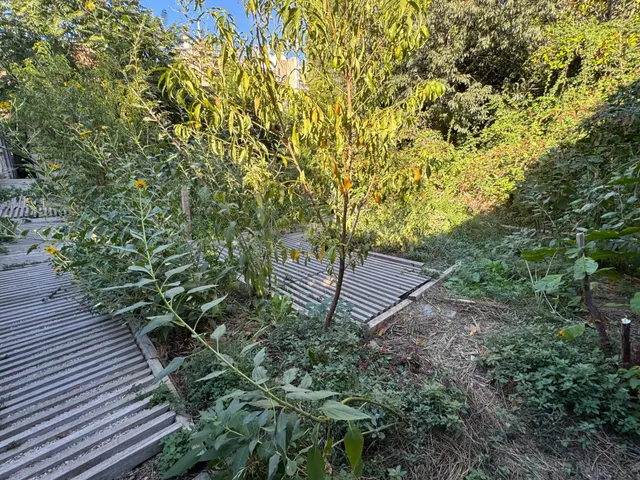 Nave en zona urbana con 264 m2 y con jardín de 114 m2 orientado al sur, garaje y gran potencial como estudio profesional. — 45