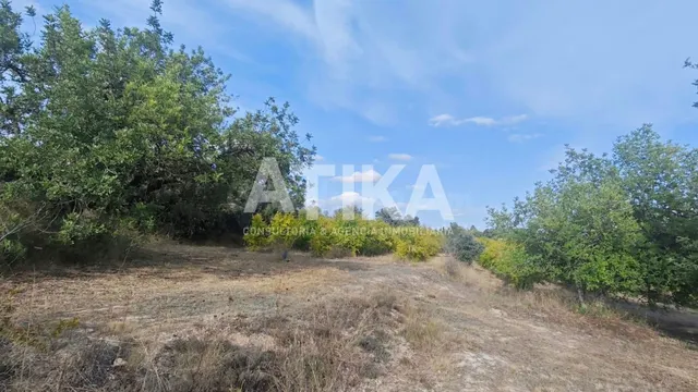 TERRENO RURAL EN VENTA - ONTINYENT - foto 3