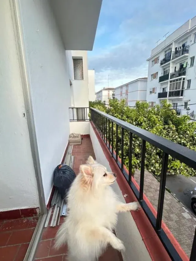 Apartamento 3 habitaciones 110m² en venta - Costa Del Sol — 9