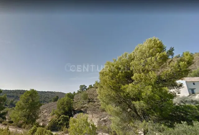 Terreno rural en venta - Fortuna - foto 5