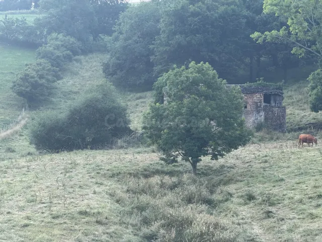Venta de Cabaña en Selaya - foto 2