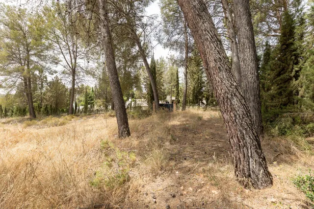EXCLUSIVO TERRENO EN VENTA EN ALBOLOTE — 11