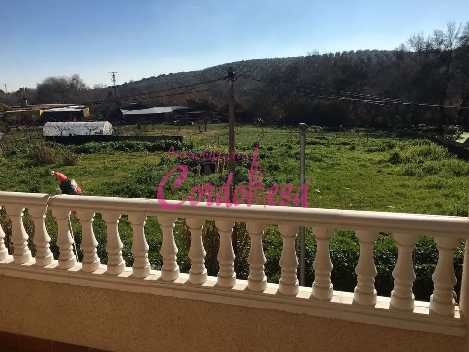 MAGNIFICA CASA DE 2 PLANTA EN ALCOLEA.