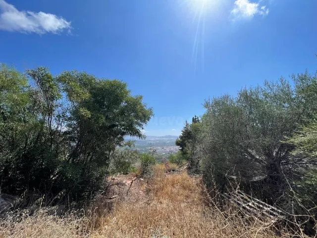 Terreno urbano en venta - Monte los Almendros - El Pargo - C - foto 3
