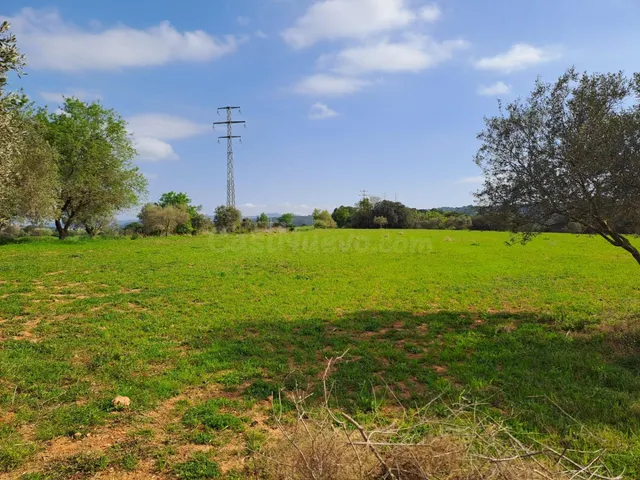 Terreno rural 13397m² en venta - Terrassa - foto 3