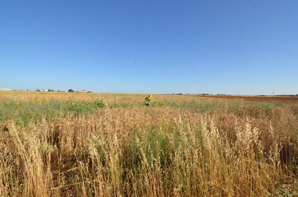 Urbis te ofrece un terreno en venta en Castellanos de Villiquera, Salamanca.