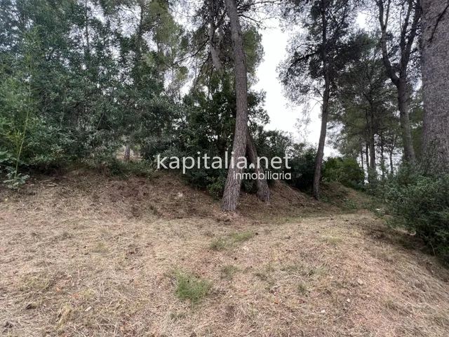 Oportunidad de terreno urbanizable en venta en Agullent — 4