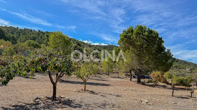 Exclusiva Casa de Campo en la Devesa, Ibi - Un Refugio de Lujo — 37