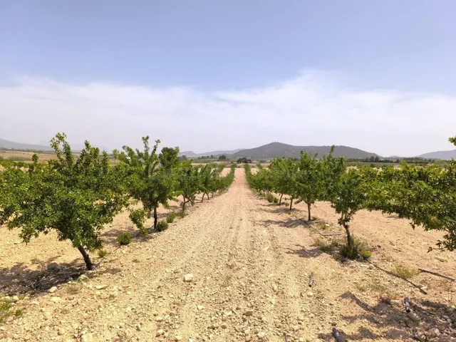 Parcela edificable Úbeda: 17.050 m² con huerto y vistas a la