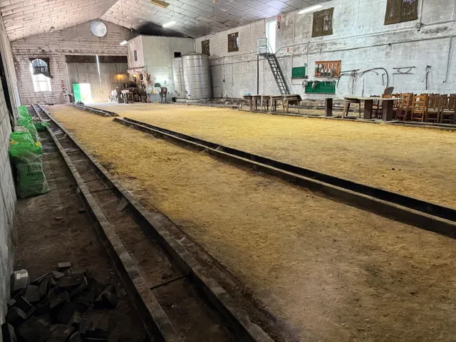 Viñedo de 24,40ha 1300m2 naves y 400m2 restaurante — 30