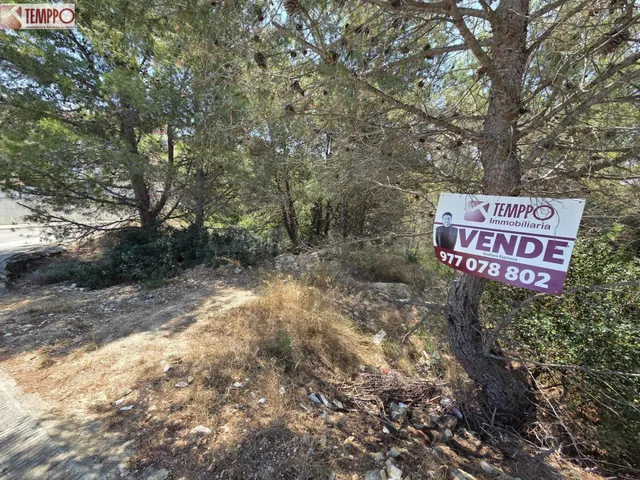Oportunidad única en Valldemar