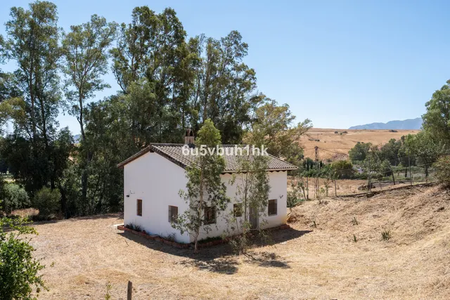 Finca rústica 3 habitaciones 156m² en venta - Centro — 23