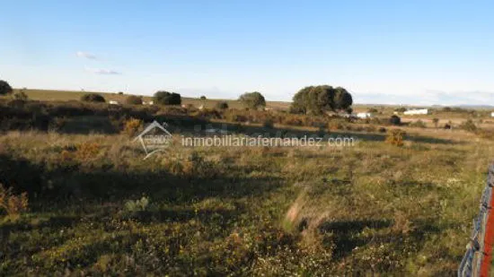 Se vende Finca en la Carretera de Badajoz - foto 2
