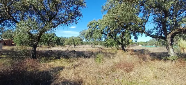 PARCELA EN DS DE BOTOA — 21