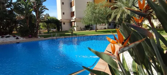 Apartamento 2 habitaciones 75m² en venta - Punta Prima — 3