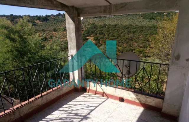 SE VENDE FINCA EN ZONA LA MONTAÑA - foto 5