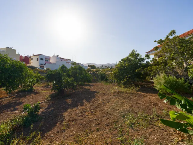 Finca rústica con amplia vivienda y azotea en Las Mejías – Ingenio, Gran Canaria — 32
