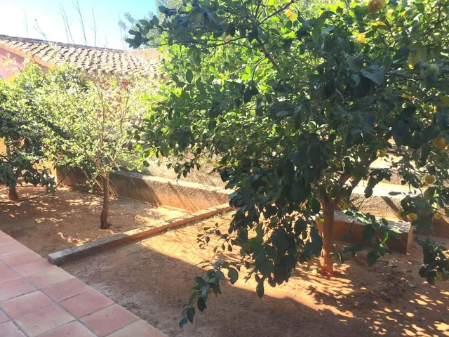 CHALET CON PISCINA Y PARCELA DE 1560 M2 A 10 KM PLAYAS — 10