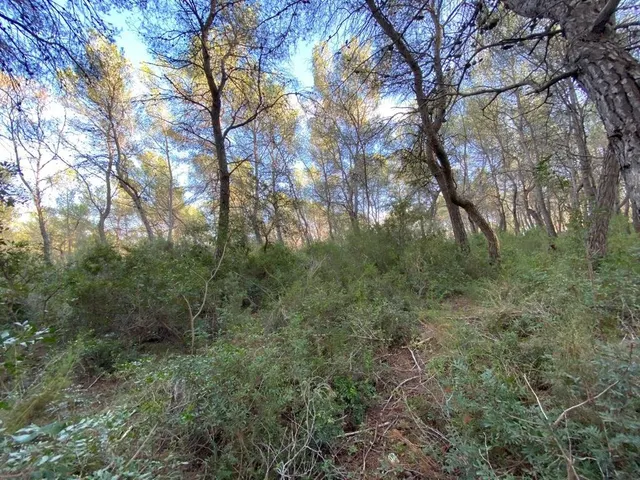 OPORTUNIDAD ENORME TERRENO EN VENTA POR 150.000€ — 9