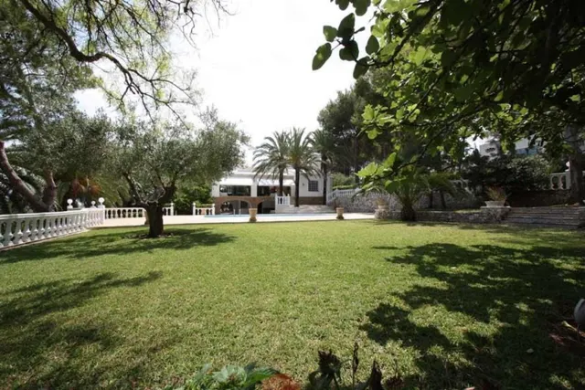Magnifica finca — 4