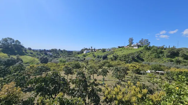 PARCELA RÚSTICA CON CASA DE APEROS  Y ÁRBOLES FRUTALES EN LA ALQUERÍA — 9